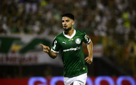 COM A VITÓRIA FORA DE CASA SOBRE O FORTALEZA PALMEIRAS É O NOVO LÍDER DO CAMPEONATO BRASILEIRO