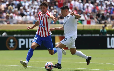 BOTAFOGO PERDE MAS AVANÇA ÀS OITAVAS DO MUNDIAL DE CLUBES