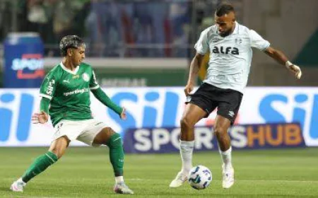 GOL RELÂMPAGO PALMEIRAS VENCE O GRÊMIO