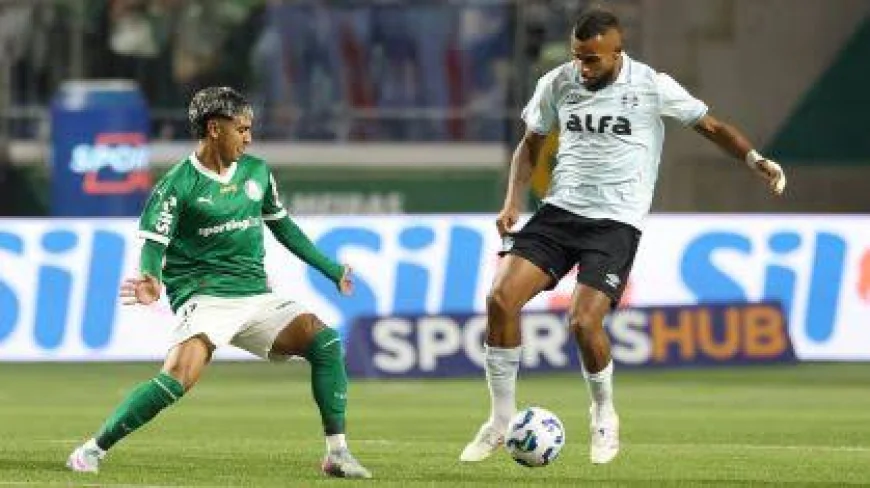 GOL RELÂMPAGO PALMEIRAS VENCE O GRÊMIO